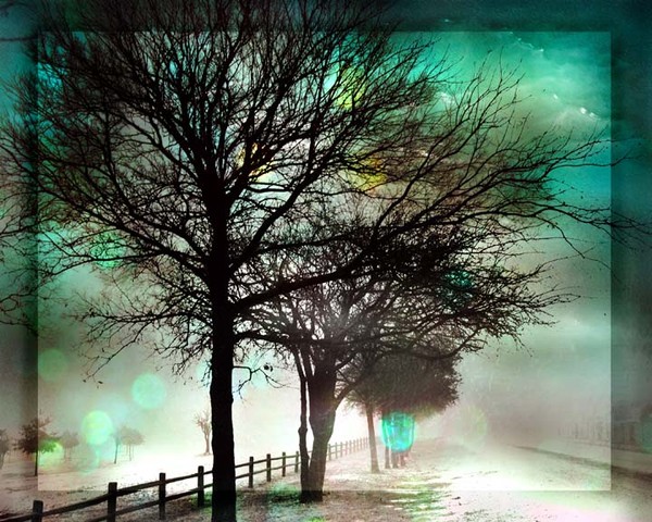 Winter Stillness - Fine Art Print - Julie Kruger