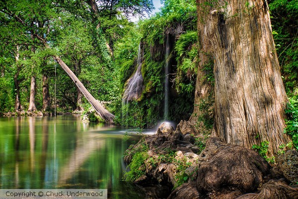 Krauss Springs