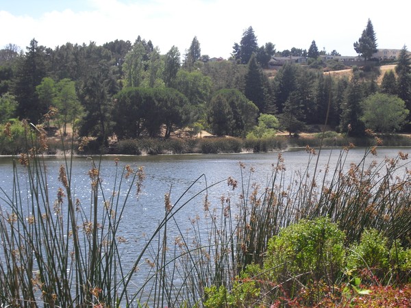 Lake views