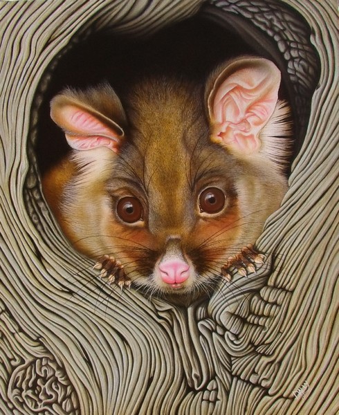 Possum