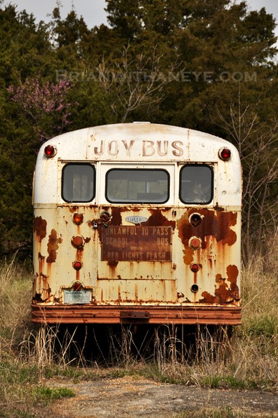 The Joy Bus