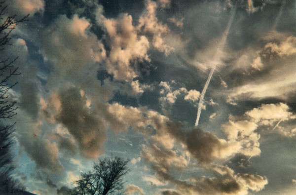 Vivid Sky