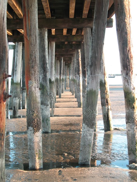 Half Moon Bay