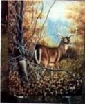 Autumn_Buck-123x150