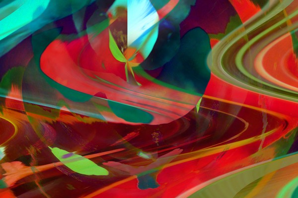 tulip1
