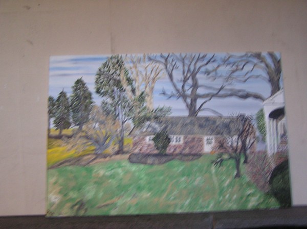 robs backyard