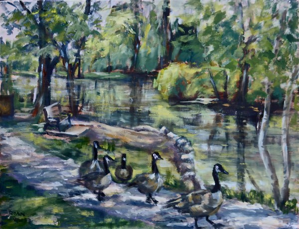 Geese in the Park