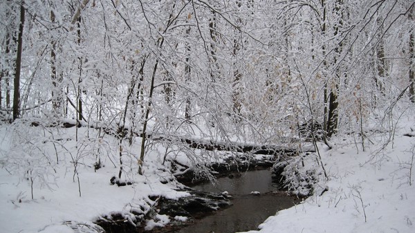 snow in central VA 3-24-2013