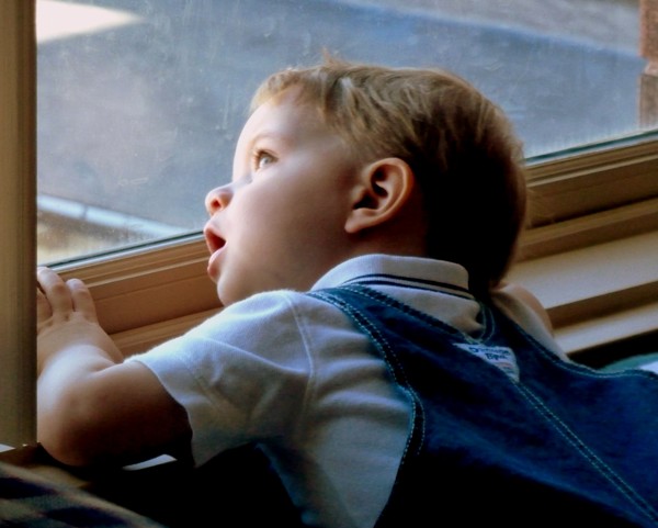 Watching The Window Washer Man
