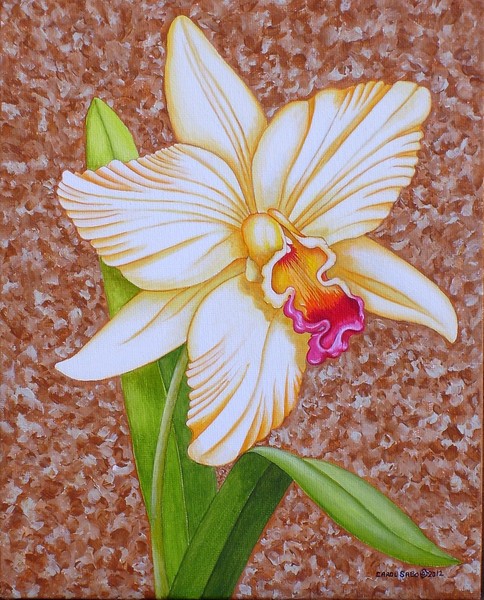 One Orchid
