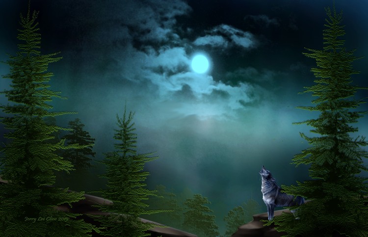 Midniht Howl