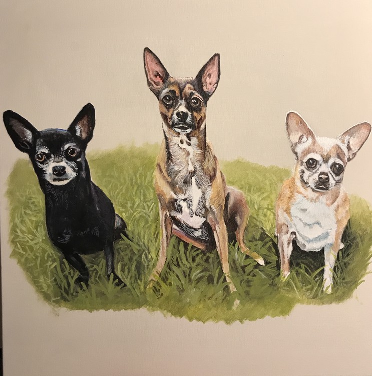 3 dog portrait