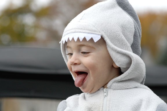 SHARK!!!