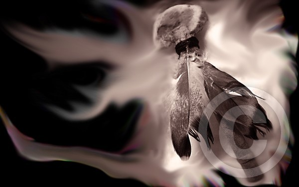 Tomahawk