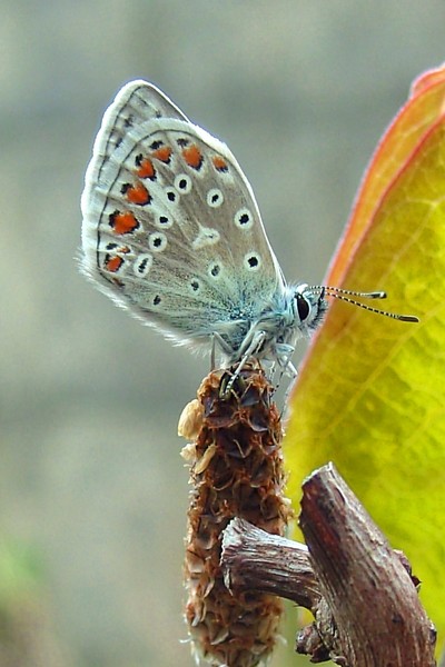 taking a rest