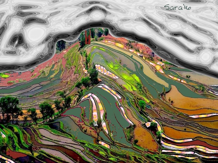 Dreamscape 5