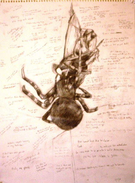 Anansi the Spider II