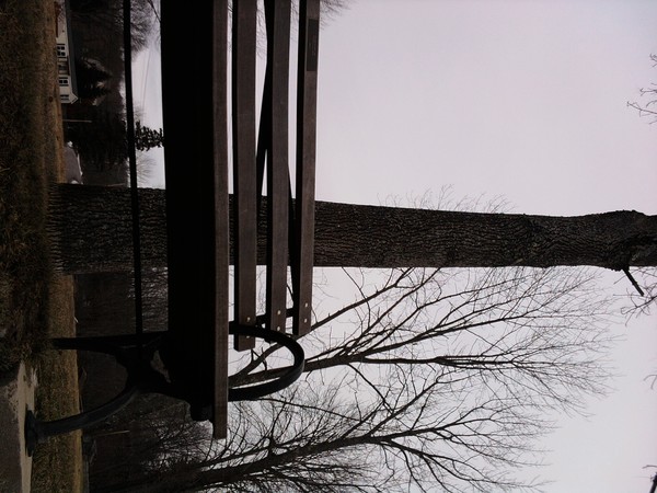 park bench