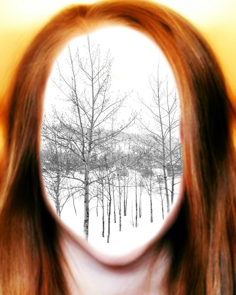 Wood You Dream