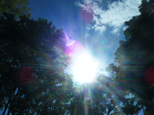 Rainbow Sunlight