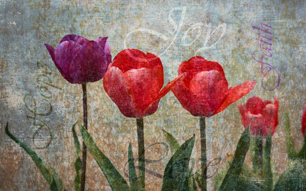Joy with Tulips