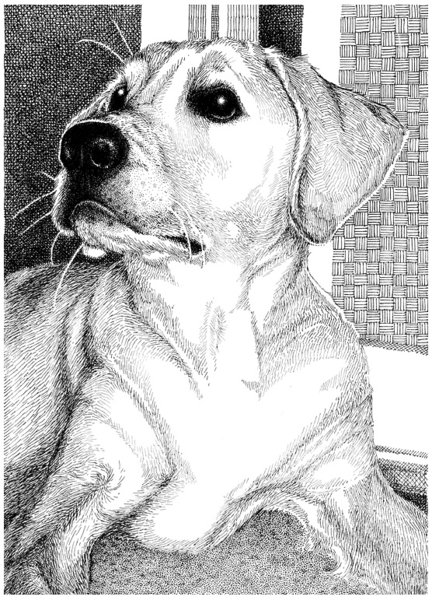 Sam
