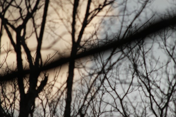20120302 19