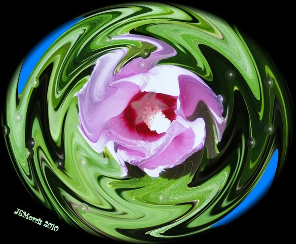 Hibiscus Sphere