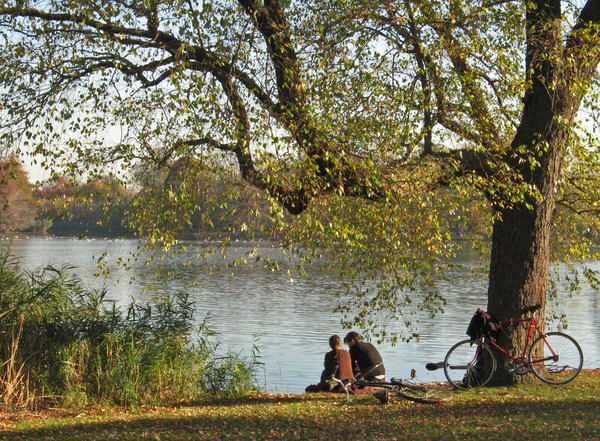 Prospect Park-Brooklyn, N.Y. 