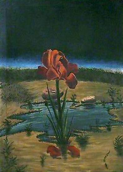 The Tulip