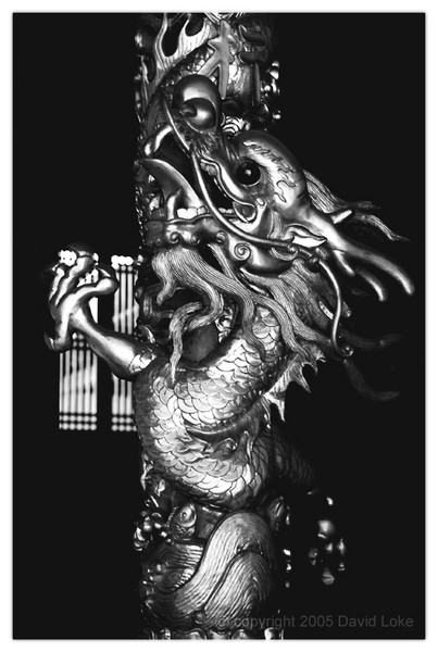 Coiled Dragon