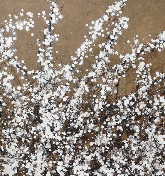 Spring Blossom on Brown