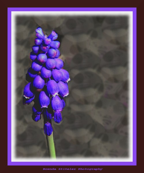 Simple Bloom