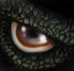 Dragon's Eye