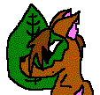 yugi my kougra