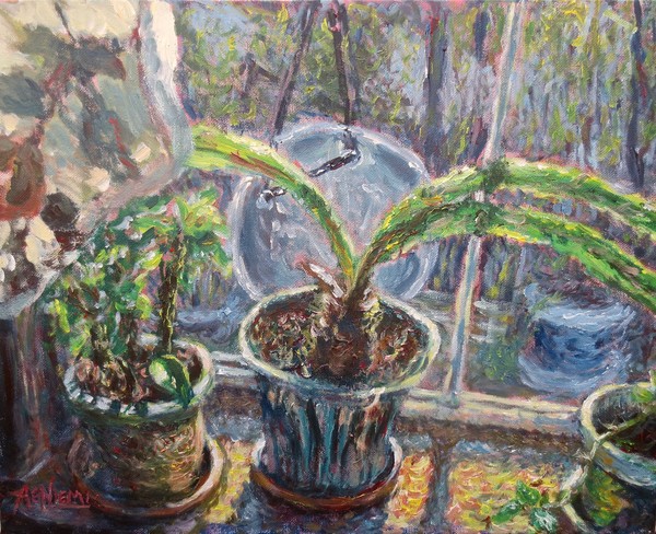 Still Life: Window Sill Morning Light