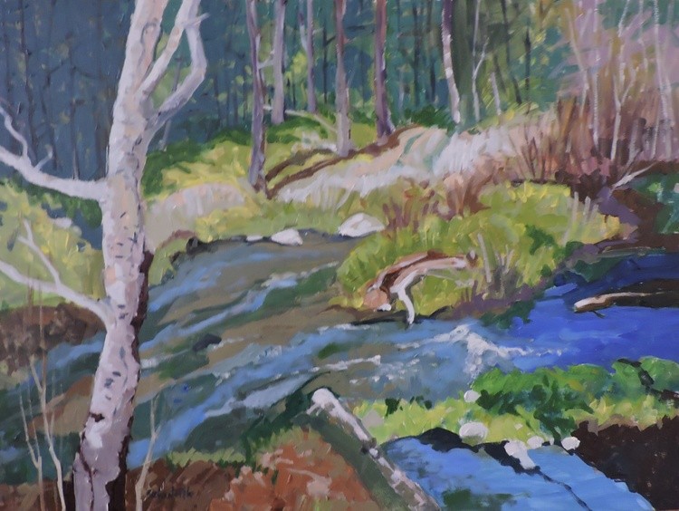 Forest Stream