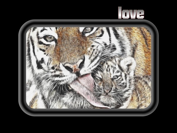 Love