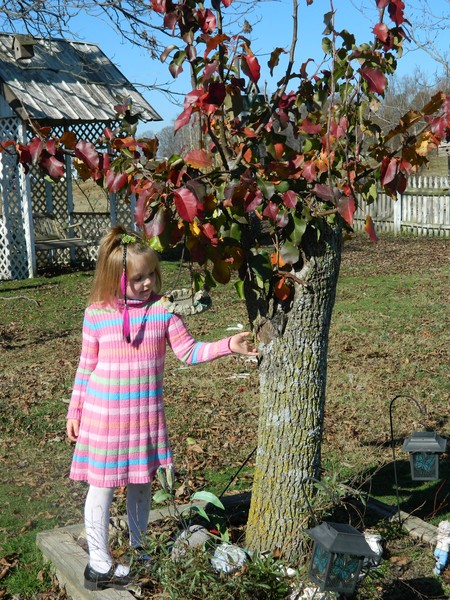 20111125 81