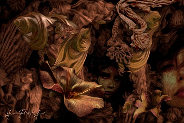 Hidden Souls