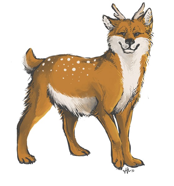 fawn