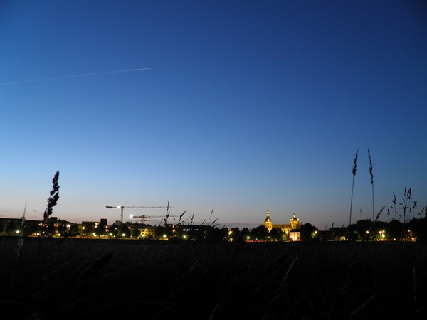 view of den bosch