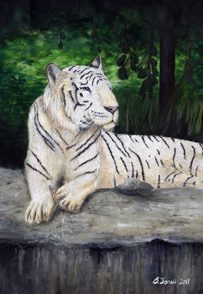 White Tiger