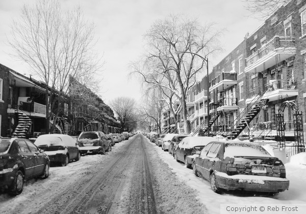 Montreal Snow