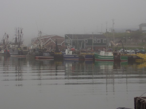 A Grey Foggy Day