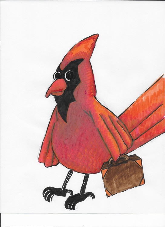53- Cardinal III 001