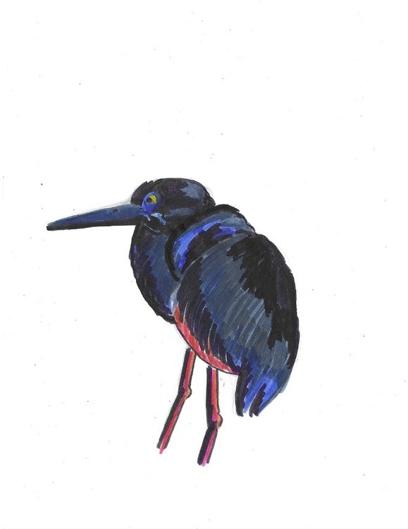 Blue Heron I