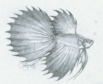 Spike