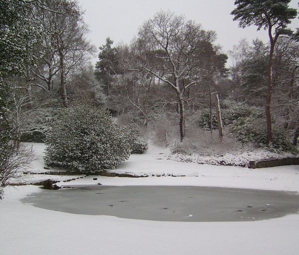 Winters Day