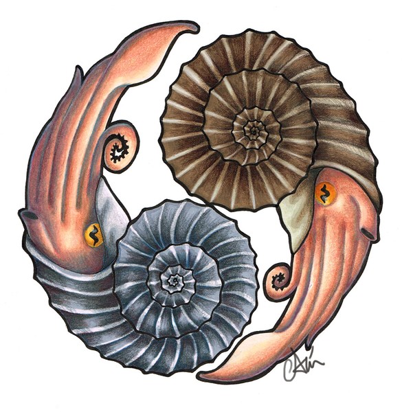 Ammonites